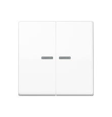 Клавиши для сдвоенного выключателя с окошком для подсветки; термопласт; белые  AS591-5KO5BFWW  Jung