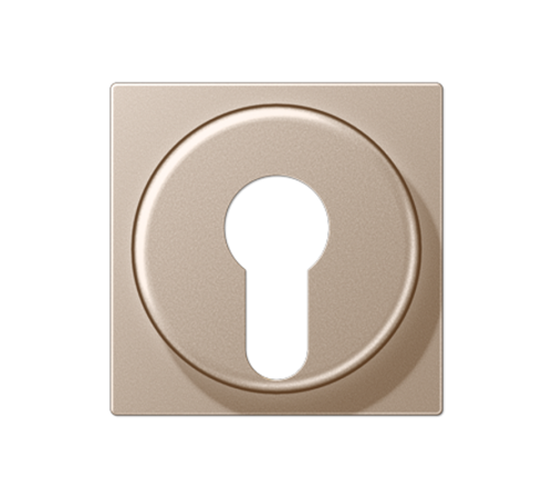 Крышка для выключателя с замком; шампань A528PLCH Jung