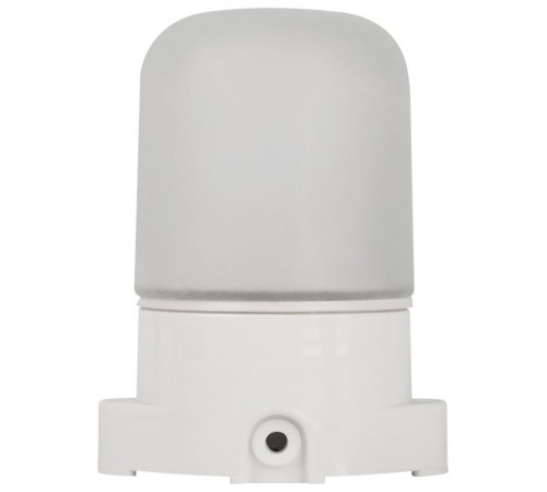 Светильник для бань и саун "Лидер"  НББ 01-60-001  60Вт, E27, 220В, IP65, УХЛ1, -45C°+125C°  Б0048030  ЭРА