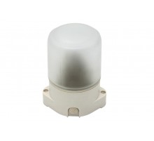 Светильник для бань и саун "Лидер"  НББ 01-60-001  60Вт, E27, 220В, IP65, УХЛ1, -45C°+125C°  Б0048030  ЭРА