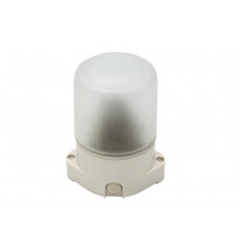 Светильник для бань и саун "Лидер"  НББ 01-60-001  60Вт, E27, 220В, IP65, УХЛ1, -45C°+125C°  Б0048030  ЭРА