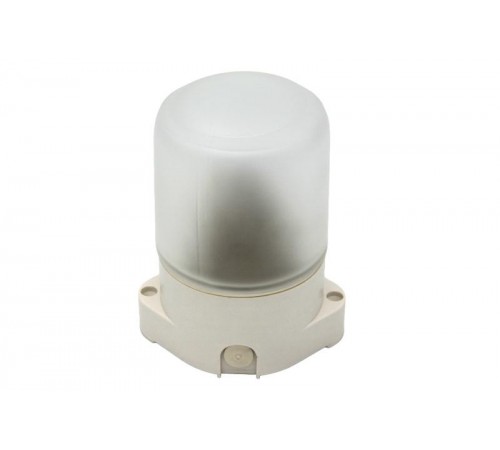 Светильник для бань и саун "Лидер"  НББ 01-60-001  60Вт, E27, 220В, IP65, УХЛ1, -45C°+125C°  Б0048030  ЭРА