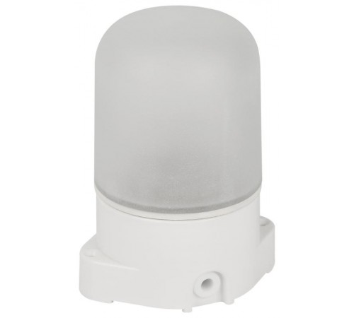 Светильник для бань и саун "Лидер"  НББ 01-60-001  60Вт, E27, 220В, IP65, УХЛ1, -45C°+125C°  Б0048030  ЭРА