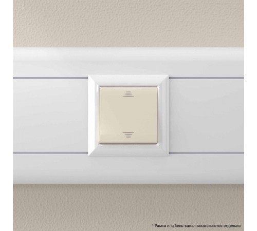 Переключатель "Ванильная дымка", "Avanti", 16A, 2 мод.  4405112  DKC