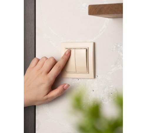 Выключатель 2-кл. СП 10А бежевый Минск EKFERV10-023-20EKF