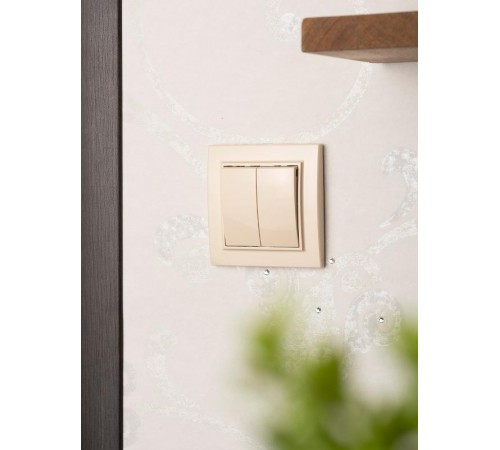 Выключатель 2-кл. СП 10А бежевый Минск EKFERV10-023-20EKF