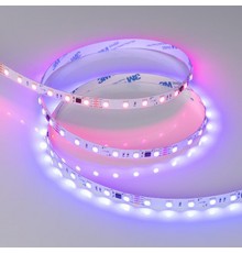 Светодиодная лента SPI-F140-10mm 24V RGB-PX7-BPT (22 W/m, IP20, 3535, 5m) (Arlight, бегущий огонь)  043132  Arlight