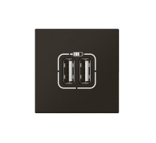Розетка USB А+А для зарядки двойная - Mosaic - 2 модуля - матовая черная  079194L  Legrand