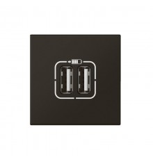 Розетка USB А+А для зарядки двойная - Mosaic - 2 модуля - матовая черная  079194L  Legrand