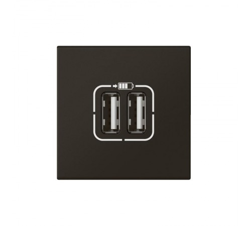 Розетка USB А+А для зарядки двойная - Mosaic - 2 модуля - матовая черная  079194L  Legrand