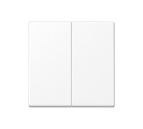 Центральная плата 2 группы стандарт; термопласт; белый матовый  A1702BFWWM  Jung