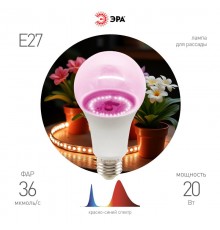 Фитолампа для растений светодиодная  GREEN LINE ФИТО A65-20W-PL-E27-GR розового свечения 20 Вт  Б0068597  ЭРА