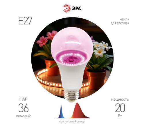 Фитолампа для растений светодиодная  GREEN LINE ФИТО A65-20W-PL-E27-GR розового свечения 20 Вт  Б0068597  ЭРА