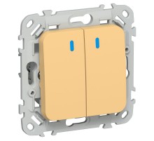 FLITE Выключатель 2-клавишный с индикацией 10А ВС12-1-1-ФлЗ золотарник  FI-V20-1-10-1-K90  IEK