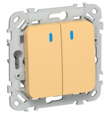 FLITE Выключатель 2-клавишный кнопочный с индикацией 10А ВС12-2-1-ФлЗ золотарник  FI-V24-1-10-1-K90  IEK