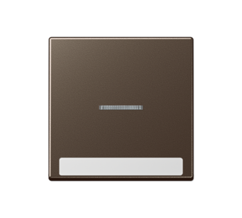 Клавиша с полем для надписи A590BFNAKO5MO Jung