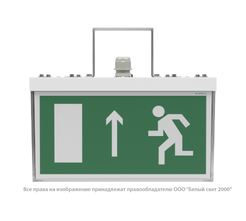 Световой указатель аварийного освещения BS-ADAMAT-10-S1-BZ  a15403  Белый свет