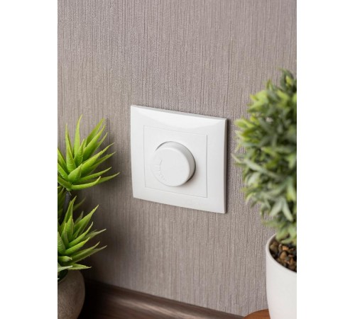 Валенсия светорегулятор 600W 220В белый EKF PROxima   EWD06-101-10   EKF