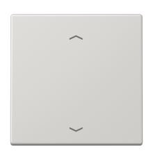 Клавиша для кнопки BCU LS990PLG Jung