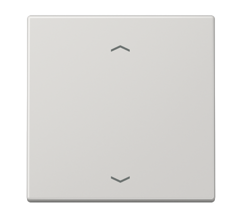 Клавиша для кнопки BCU LS990PLG Jung