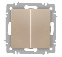 Выключатель Intro Accent 6-104-04 двойной, 10А-250В, IP20, СУ, AL/CU, шампань  Б0063486  Intro