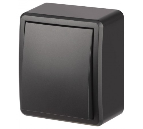 Переключатель Эксперт 11-1203-05 10АХ-250В IP20 ОУ Антрацит  Б0063003  ЭРА