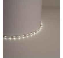 Лента светодиодная LS604/ 60SMD(2835)/м 4.8Вт/м 12V IP65 5000*8*3.8мм 3000К  27640  FERON