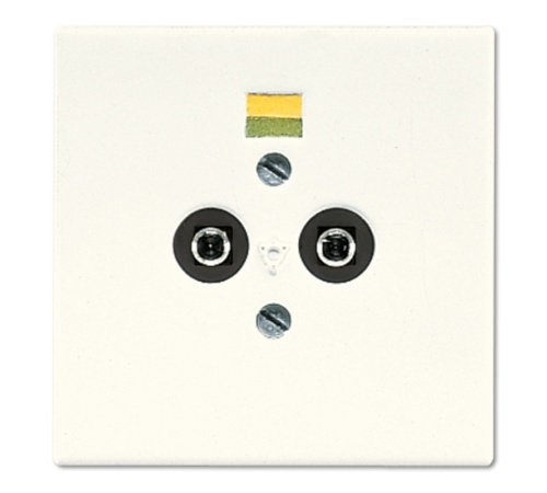 Розетка штепсельная для выравнивания потенциалов; слоновая кость  LS965-2  Jung