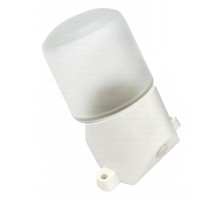 Светильник для бань и саун "Лидер"  НББ 01-60-002  60Вт, E27, 220В, IP65, УХЛ1, -45C°+125C°  Б0048407  ЭРА