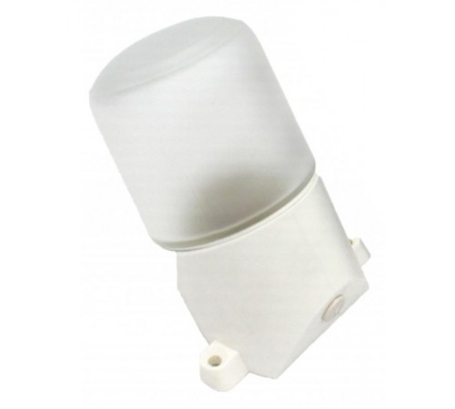 Светильник для бань и саун "Лидер"  НББ 01-60-002  60Вт, E27, 220В, IP65, УХЛ1, -45C°+125C°  Б0048407  ЭРА