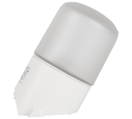 Светильник для бань и саун "Лидер"  НББ 01-60-002  60Вт, E27, 220В, IP65, УХЛ1, -45C°+125C°  Б0048407  ЭРА