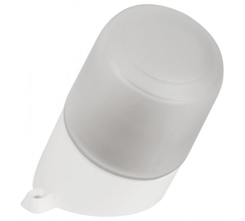 Светильник для бань и саун "Лидер"  НББ 01-60-002  60Вт, E27, 220В, IP65, УХЛ1, -45C°+125C°  Б0048407  ЭРА