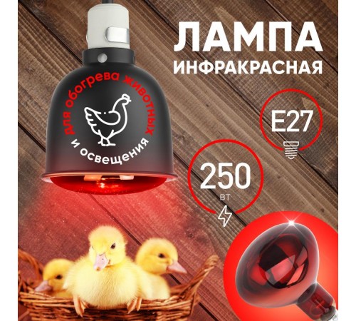 Инфракрасная лампа 250Вт ИКЗК 220-250 R127 Е27 для обогрева животных  Б0055442  ЭРА