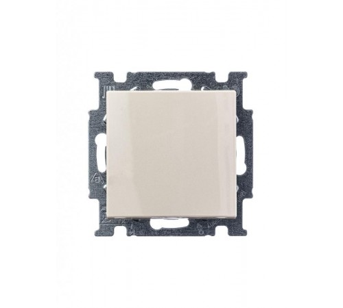 ABB Basic 55 Сл. кость Выключатель 1-клавишный  1012-0-2146   2CKA001012A2146  ABB