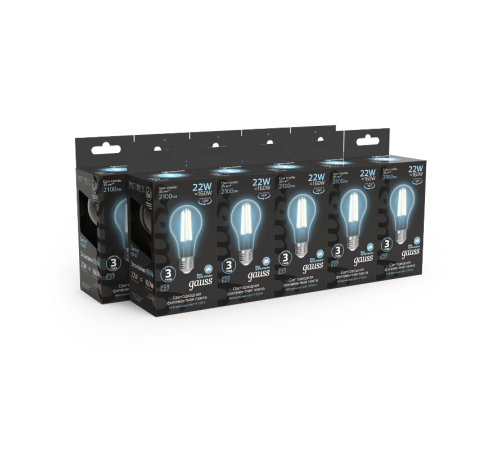 Лампа светодиодная Filament А70 22W 2100lm 4100К Е27 LED 1/10/40  102902222  Gauss