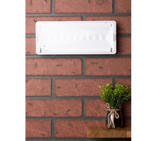 Светильник аварийного освещения SAFEWAY-10P пост. действия LED EKF Proxima  dpa-203  EKF