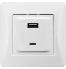 Розетка 2xUSB A/C, 125-250V (белый)  201007  SPL