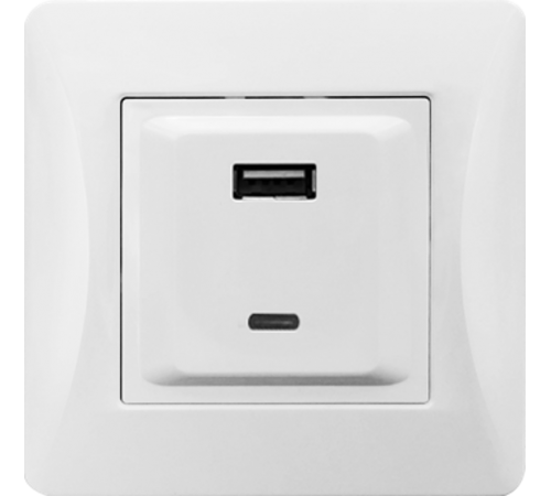 Розетка 2xUSB A/C, 125-250V (белый)  201007  SPL