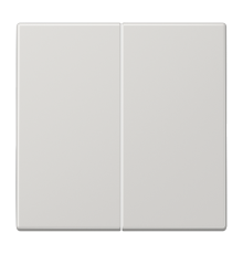 Двойная клавиша для балансирных механизмов выключателей (кнопок), в комплекте с CD95HP (крепежный элемент), возможно IP44; дюропласт; светло-серый; LS