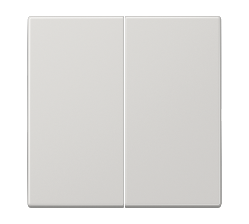 Двойная клавиша для балансирных механизмов выключателей (кнопок), в комплекте с CD95HP (крепежный элемент), возможно IP44; дюропласт; светло-серый; LS