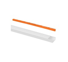 Кабель-канал 80х40 (1 шт по 2 м) белый (розн.упак.)  SQ0402-3812  TDM