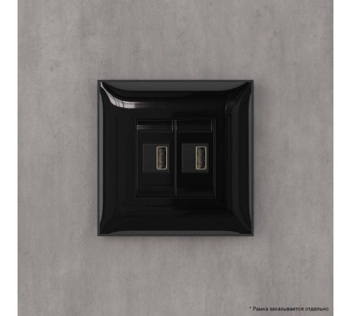 USB зарядное устройство в стену, "Avanti", "Черный квадрат"  4402543  DKC