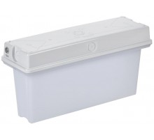 Светильник аварийный ССА1010 3ч универсальный IP65   LSSA1-1010-3-65-K01  IEK