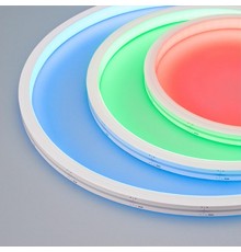 Гибкий неон ARL-MOONLIGHT-1213-TOP 24V RGB-Day (arlight, 14.4 Вт/м, IP67)  029808  Arlight