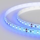 Лента светодиодная RT 2-5000 24V Blue 2x (3528, 600 LED, LUX)  008783(1)  Arlight