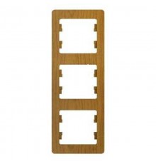 Glossa Дерево Дуб Рамка 3-ая, вертикальная  GSL000507  SE