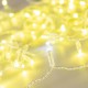 Светодиодная гирлянда ARD-STRING-CLASSIC-10000-CLEAR-100LED-FLASH Gold (230V, 7W) (Ardecoled, IP65)  025820  Arlight