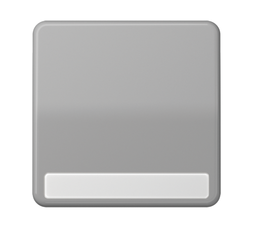 Клавиша для выключателя и кнопки, с полем для надписи; серая  CD590NAGR  Jung