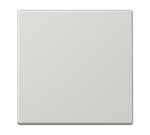 Клавиша для KNX кнопки, 1 группа; дюропласт; светло-серый LS101LG Jung