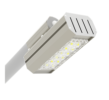 Светодиодный светильник уличный Uran Mini 30 Вт Basic Yard 5000 K  B1-S1-70459-40L05-6503050  VARTON